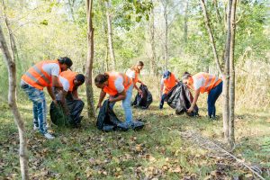 volunteer experiences-David Bennett Galloway III